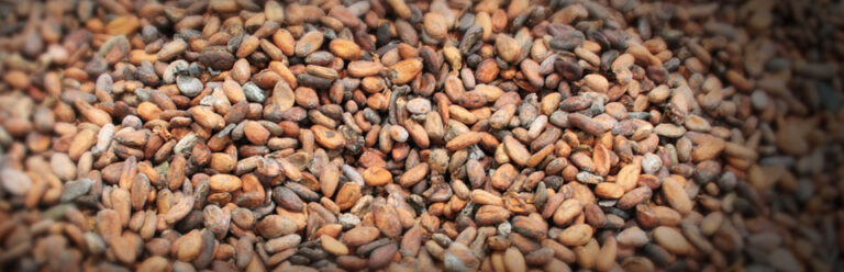 From Indonesia’s Cocoa Origins to WCC EXPO 2027 🇮🇩